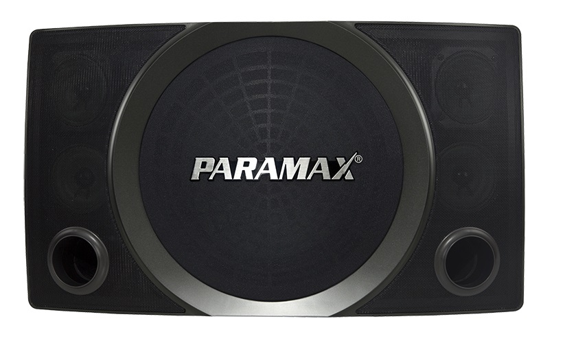 loa karoke chuyên nghiệp